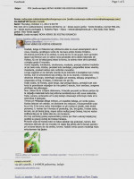 2012.Facebooksudeauropa-subkomisionoRenatoCorsetti.jpg